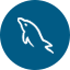 mysql logo