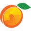 wildapricot logo
