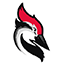 Woodpecker.co logo